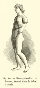 Hermafrodit, bronz, Seine Nehri