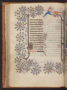 Bakirenin Saatleri, Saatler Kitabı, MS 32454 f.37v ekleyin, Fransa by French School