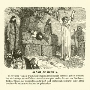 Druidlerin insan kurbanı (gravür) by French School
