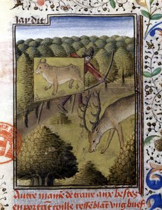 Cazibeyle geyik avlamak - “” Gaston Phoebus, Foix Kontu, Béarn Lordu
