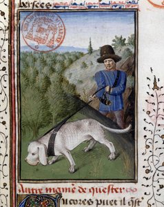 Gösterişli bir tasma ile tutulan av köpeği - “” Gaston Phoebus, Count of Foix, Lord of Béarn” tarafından yazılan Av Kitabı”nda by French School