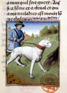 Tasmalı av köpeği - “” Gaston Phoebus, Count of Foix, Lord of Béarn” tarafından yazılan Av Kitabı”nda by French School