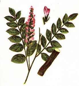 Dr. H.M.Menier