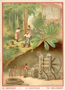 Hindistan kauçuğu (chromolitho) by French School