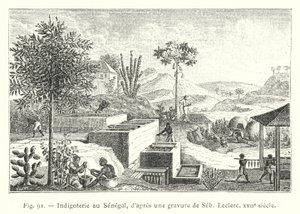 Senegal