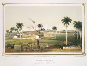 Acana'nın karakteri by French School