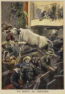 Bir öküz tarafından bir tiyatro gösterisinin kesilmesi, Villefranche-de-Lauragais, Fransa, 1897