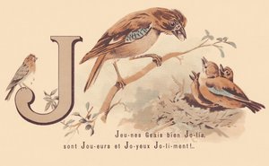 J: Genç Jays Pretty Oyuncular ve Mutlu Jolily! by French School