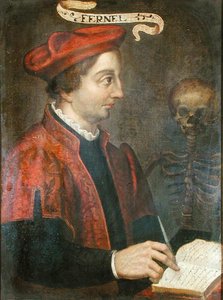 Jean Fernel (c.1497-1558) (tuval üzerine yağlı boya) by French School
