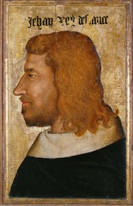 Jean II le Bon, Fransa Kralı, Valois