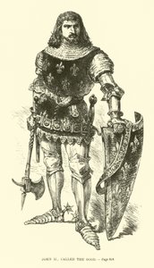 John II, İyi denilen by French School