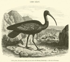 1876