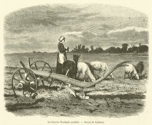 Modifiye Dombasle Pulluk (gravür) by French School