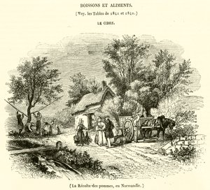 Normandiya