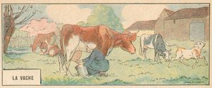La Vache (renk üyeleri) by French School