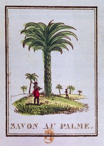 Palmiye ağacını gösteren, palmiye yağı kokulu sabun etiketi by French School