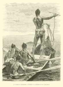Uyuyan Köpekbalığı, Yazarın bir eskizinden (gravür) by French School