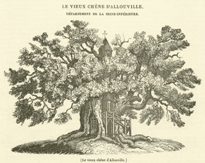 Allouville