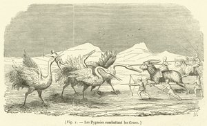 Turnalarla Savaşan Pigmeler (gravür) by French School