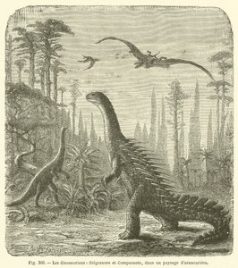 Dinozorlar, Stegosaurus ve Compsonote, Araucariae manzarasında (gravür) by French School
