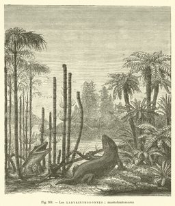 Les labyrinthodontes, mastodontosaures (gravür) by French School