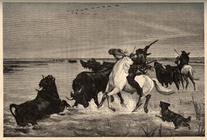 “” PATRIE” deki vayson gravürü - “” PATILE” deki gravür” boyamasından sonra camargue öküzleri (sığır cinsi) - AÇIKLAMA PINTUREQUIRESSE DE LA FRANCE LUCIEN HUARD TARAFINDAN 6 CİLTTE - 19. yüzyıl sonu by French School