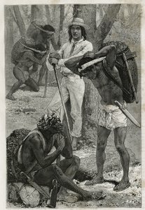 Les porters (caucheros), Darien
