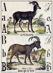 A Harfi Antilop; B dağ keçisi. “Alphabet des animaux sauvages” içinde gravür. 9. Seri. Epinal'in görüntüsü, Pellerin, matbaa-yayıncı, 1870 dolaylarında. Ahşap üzerine gravürler, şablonla. 16 sayfa. Karartma: 20 x 15 cm. Özel koleksiyon by French School