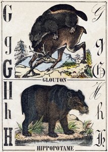 G Harfi Obur; H Hipotamus. “Alphabet des animaux sauvages” içinde gravür. 9. Seri. Epinal