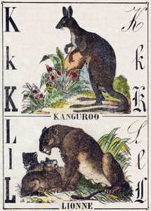 K L harfi; K Kanguroo; Dişi aslan. “Vahşi Hayvanlar Alfabesinde” gravür. 9. Seri. Epinal