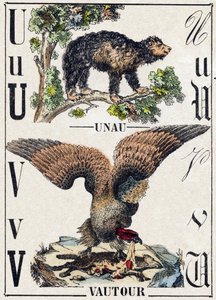 U Harfi Unau (tembel); V Akbaba. “Alphabet des animaux sauvages” içinde gravür. 9. Seri. Epinal