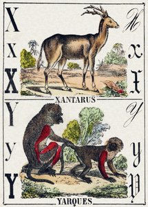 X harfi Xantarus; Y Yarques. “Alphabet des animaux sauvages”” üzerine gravür. 9. Seri. Epinal