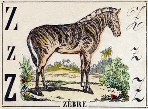 Z harfi Zebre. “Alphabet des animaux sauvages” içinde gravür. 9. Seri. Epinal