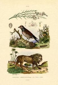 Keten, 1833-39 by French School