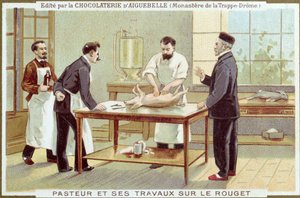 Louis Pasteur (1822-95) kızamık araştırması üzerinde çalışıyor, Chocolaterie dAiguebelle için reklam kartı