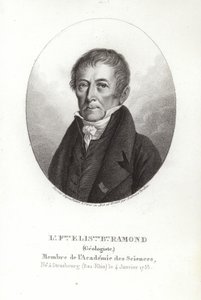 Louis Ramon de Carbonnieres by French School