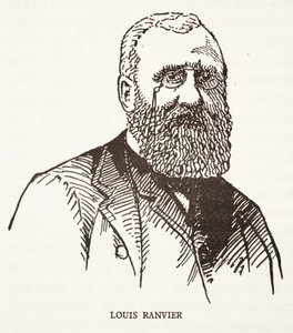 Louis Ranvier by French School