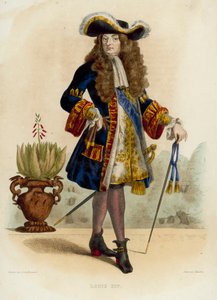 Louis XIV (renkli gravür) by French School