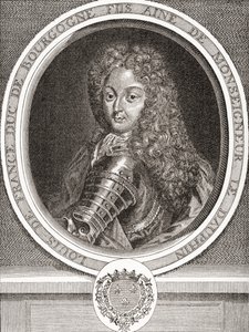 Louis de France, Fransa