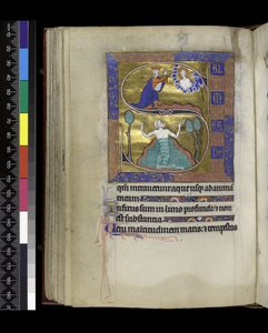 MS 300 f.70v, David Tanrı