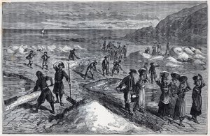19. yüzyılda Marais salants de Bretagne - Alexis Clerc tarafından “Bağışlara minnettar olan bilimler - fizik ve kimya” içindeki gravür - 19. yüzyılın sonları - Özel koleksiyon by French School