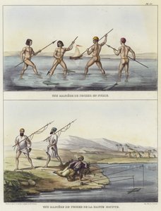 Nubia ve Mısır