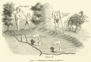 Monocules, Blemmys, Sciopodes (gravür) by French School