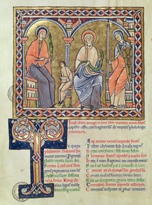 Ms 1041 f.1v Satyricon