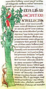 Ms 173 f.41 Moralia