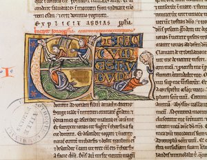 Ms 21 Fol.163v Belirtilmemiş bir İncil