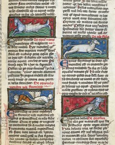 Ms 320 Fol.115r Deniz Canavarları, Thomas van Cantimpre tarafından 