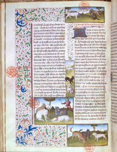 Ms 3717 Av köpekleri, Livre de la Chasse