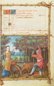 Ms 438 Kasım Ayı: Bir Saatler Kitabından Meşe Palamudu Toplama, 1490 by French School