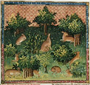 Bayan Fr 616 fol.24v Bir Ormanda Tavşanlar, Livre de la Chasse
